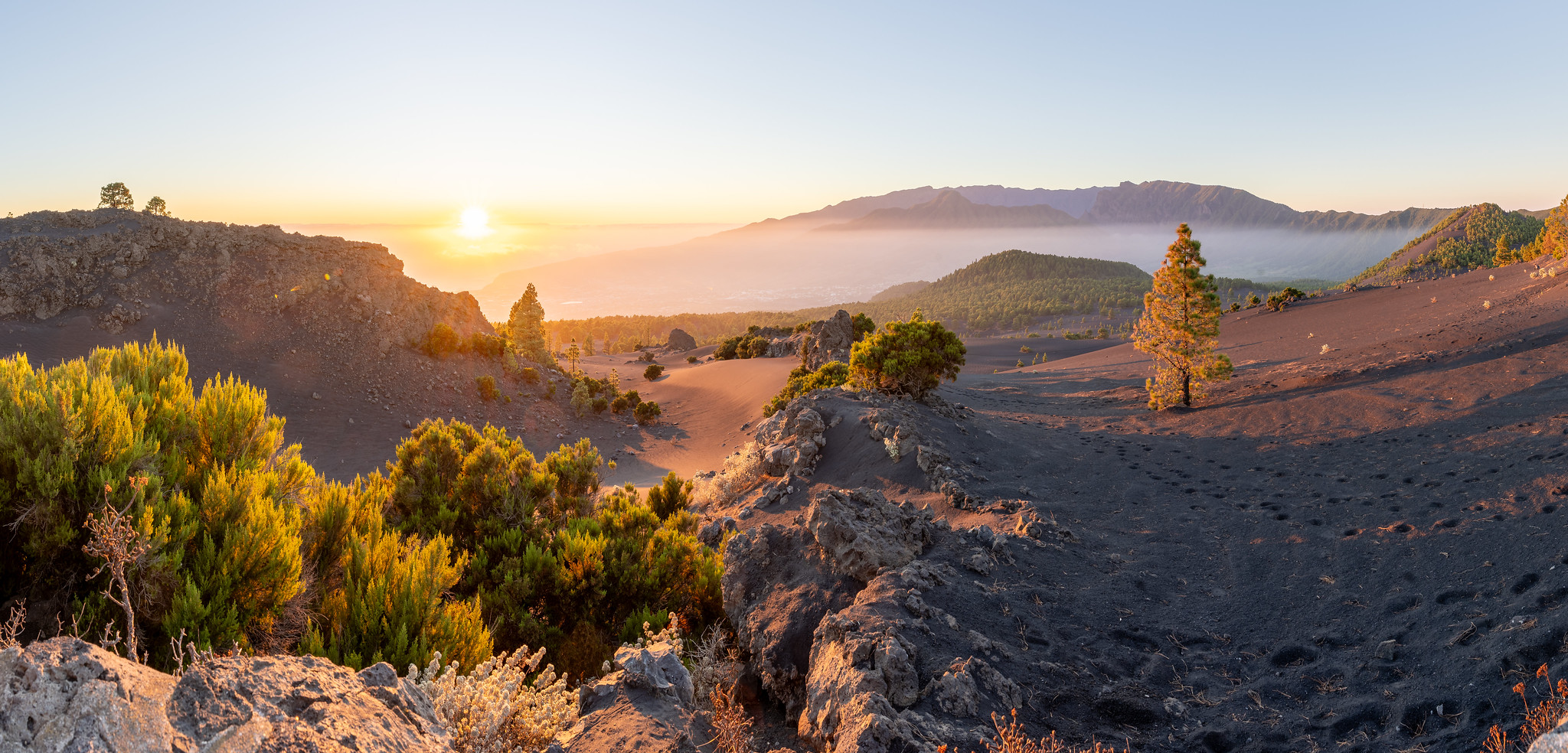 Landing a job after a sabbatical: Reflections and lessons learned so far